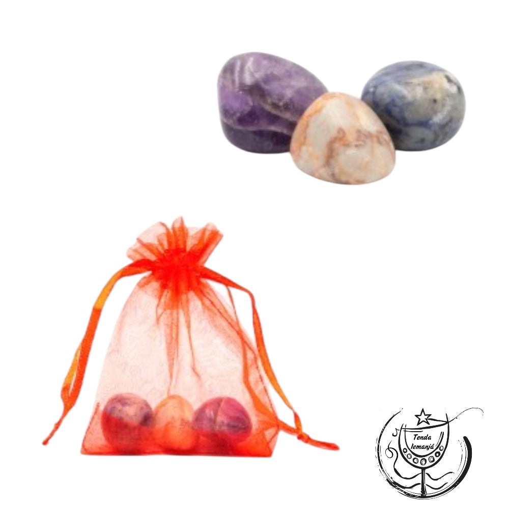 Bolsa Proteção Carro