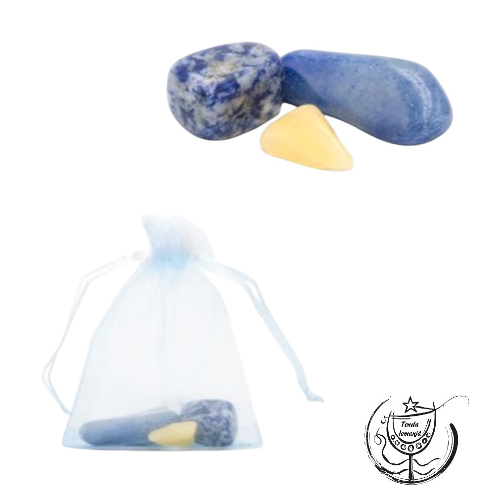 Bolsa Proteção Estudos