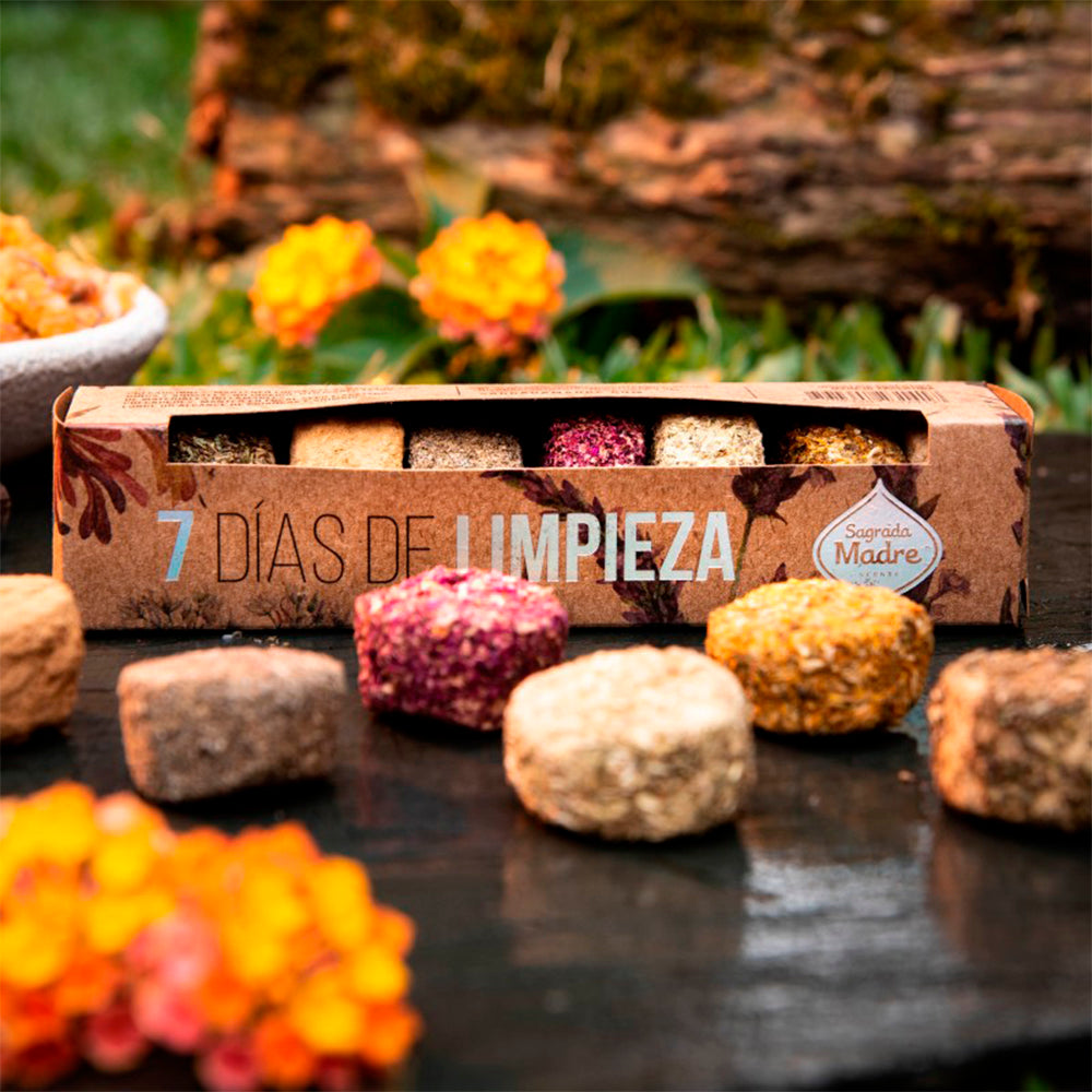 7 Dias de Limpeza - Sagrada Madre