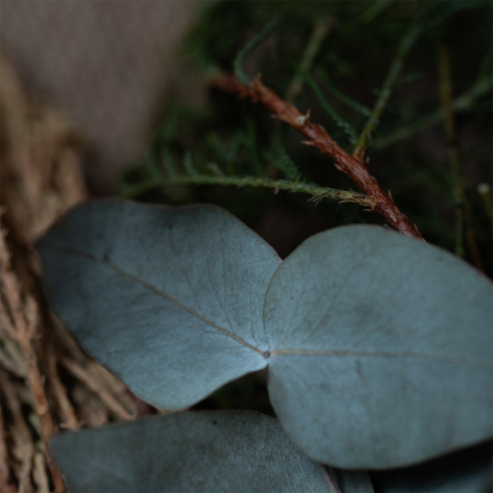 Sahumitos - 7 Ervas - Sagrada Madre