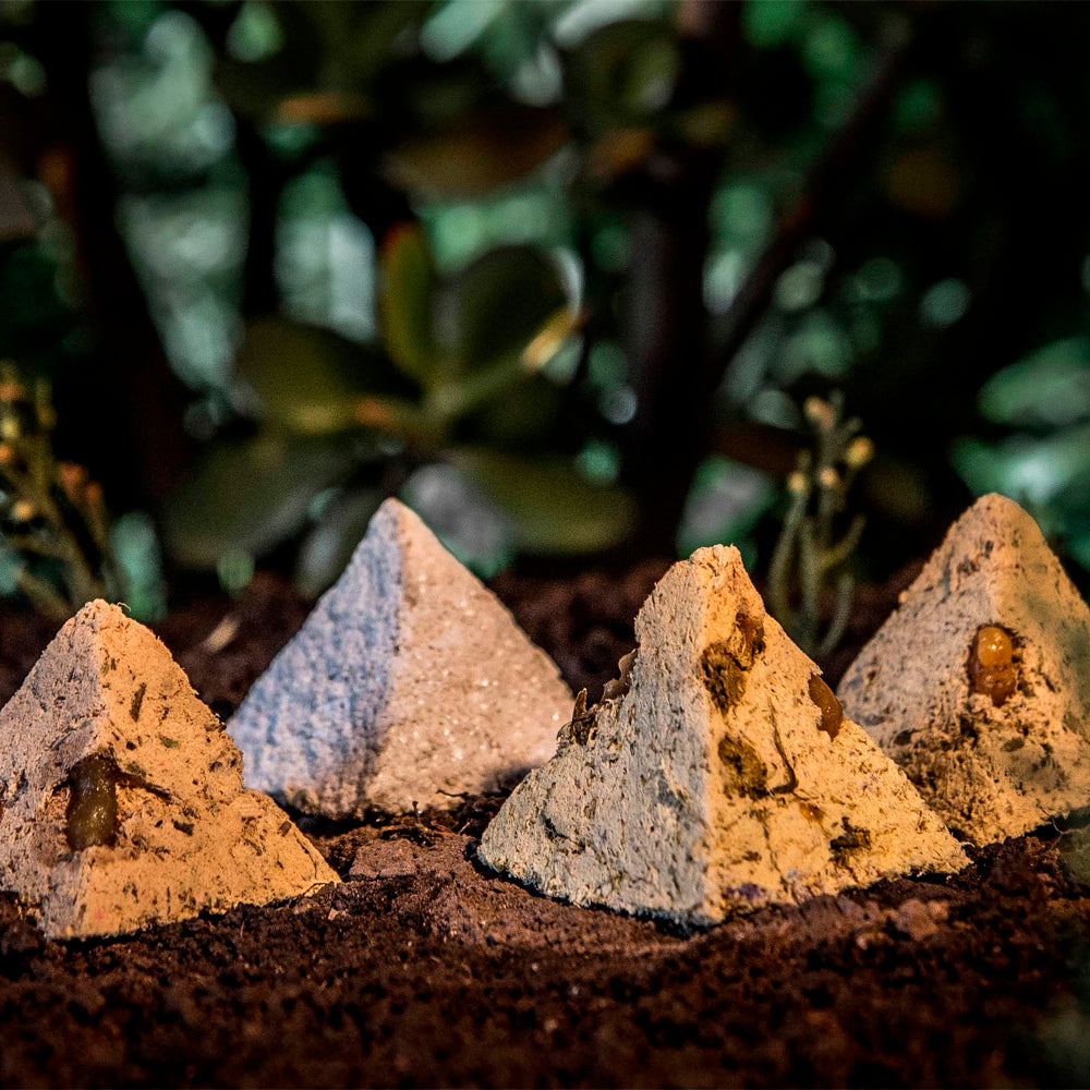 Pirâmide Energética Sagrada Madre - Incenso e Alecrim